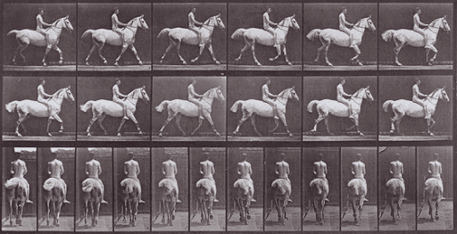 Animal Locomotion Descriptive: [plate 62] Eadweard Muybridge, (England, active United States, 1830-1904) England, 1886, printed 1887 Photographs, Collotype Gift of the Sid and Diana Avery Trust (M.91.39.42) The Los Angeles County Museum of Art