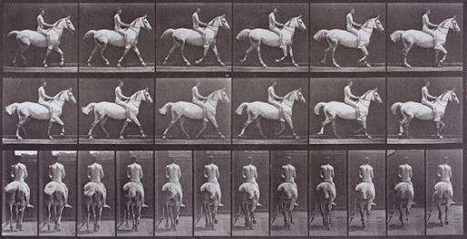 Animal Locomotion Descriptive: [plate 62] Eadweard Muybridge, (England, active United States, 1830-1904) England, 1886, printed 1887 Photographs, Collotype Gift of the Sid and Diana Avery Trust (M.91.39.42) The Los Angeles County Museum of Art